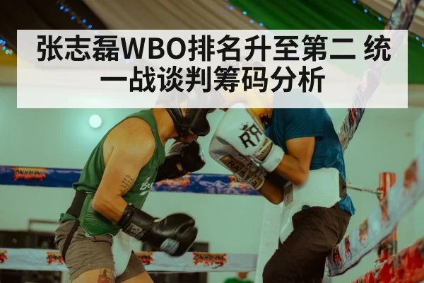 张志磊WBO排名升至第二 统一战谈判筹码分析